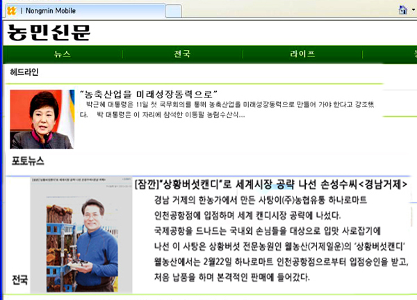 [잠깐]거제상황버섯캔디'로 세계시장 공략 이미지