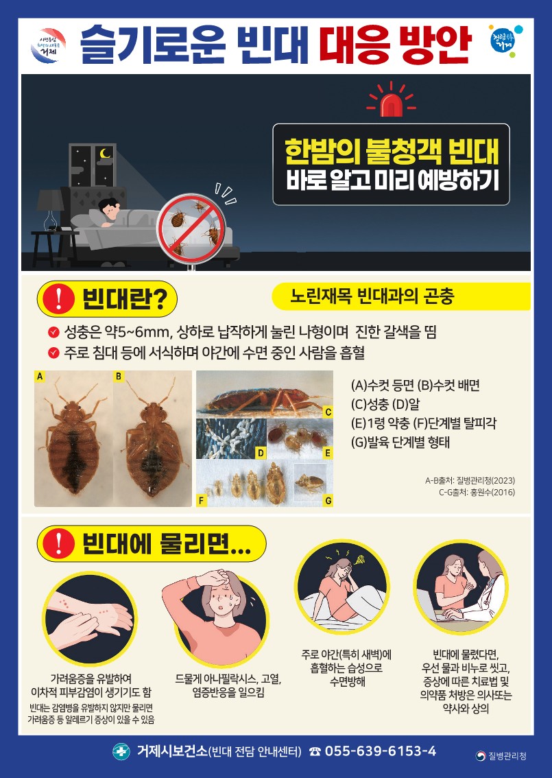 빈대 발생 예방 및 대응 방안 안내
