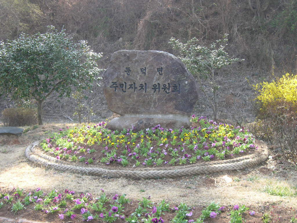 주민자치위원동산 꽃심기