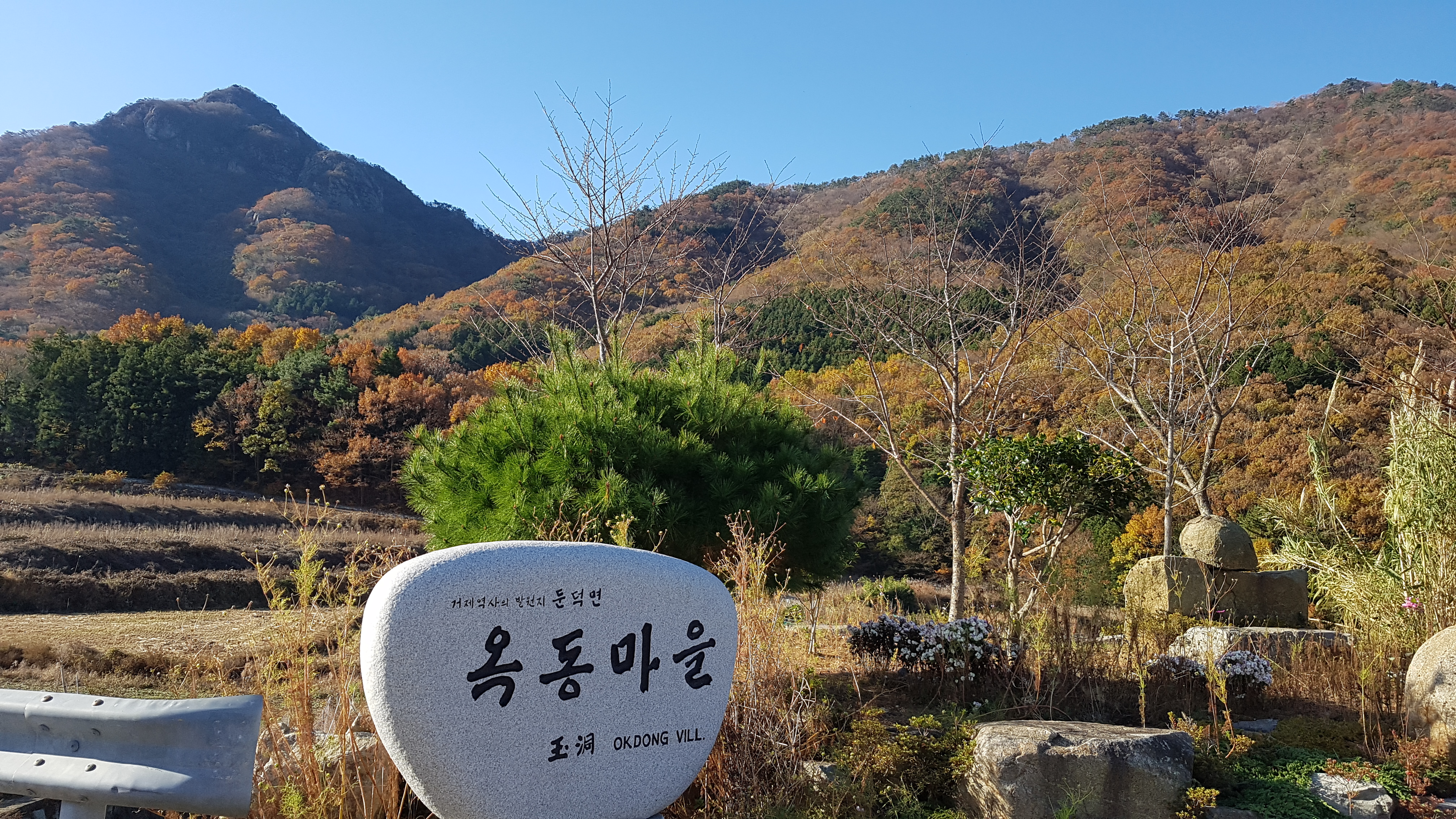 옥동마을에서 본 아름답게 물든 산