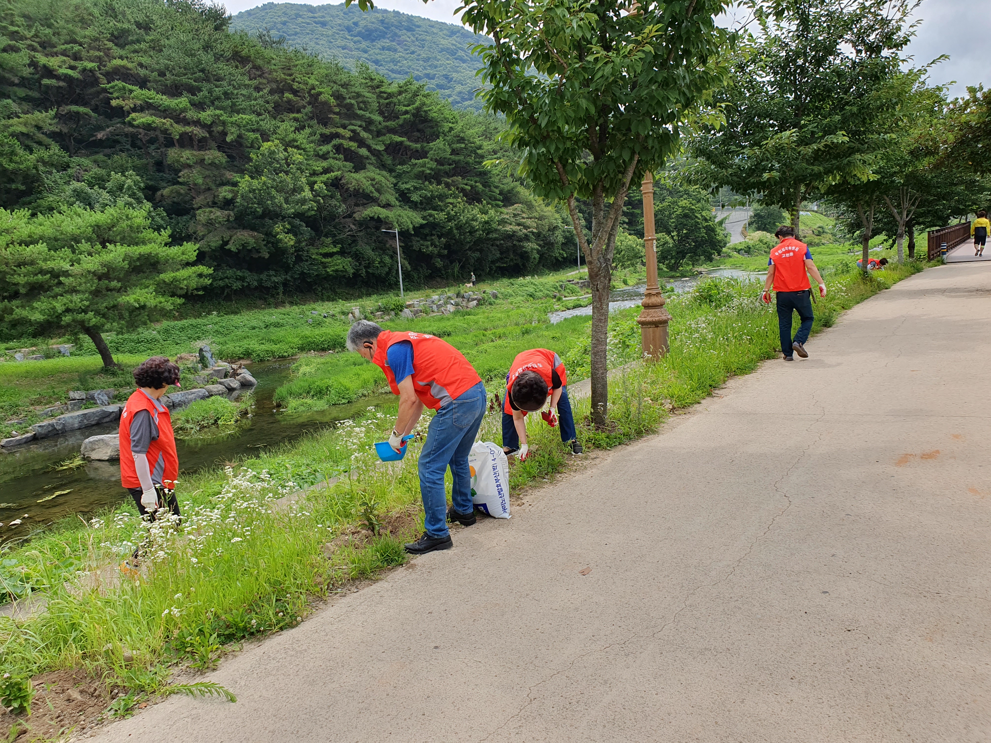 고현동주민자치위원회, 고현천변 수국나무 정비