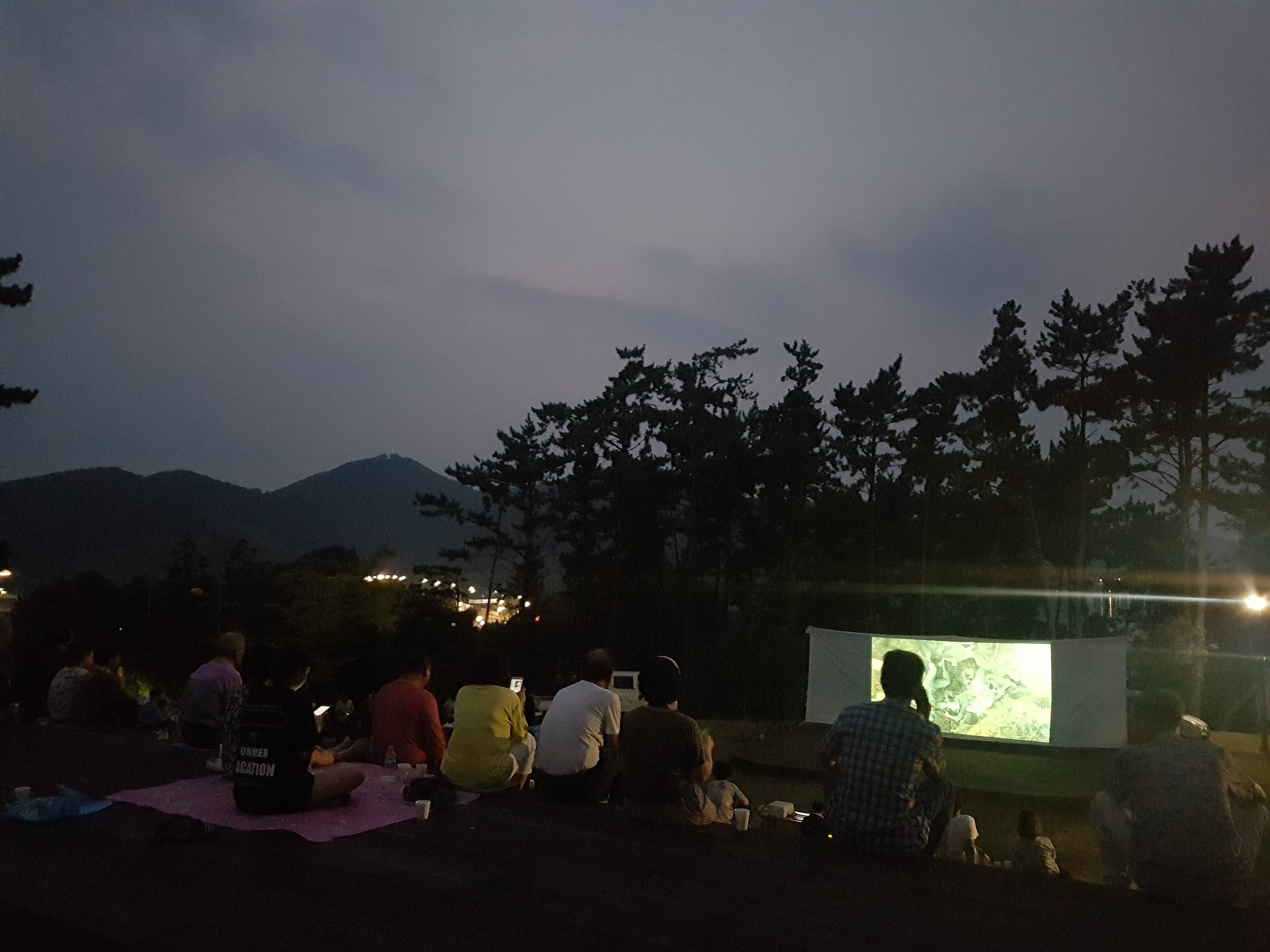 주민자치위원회 쌈지영화제 개최