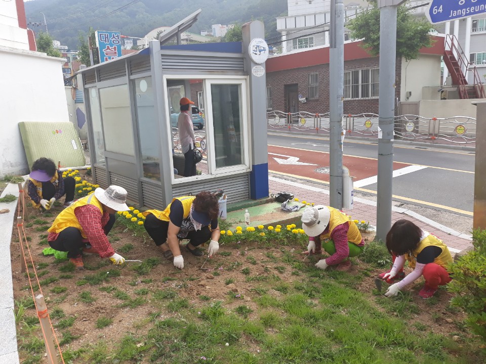 장승포동 마전 버스정류장 꽃밭 환경정비