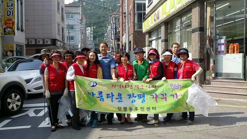 제15통부녀회, 환경정화활동