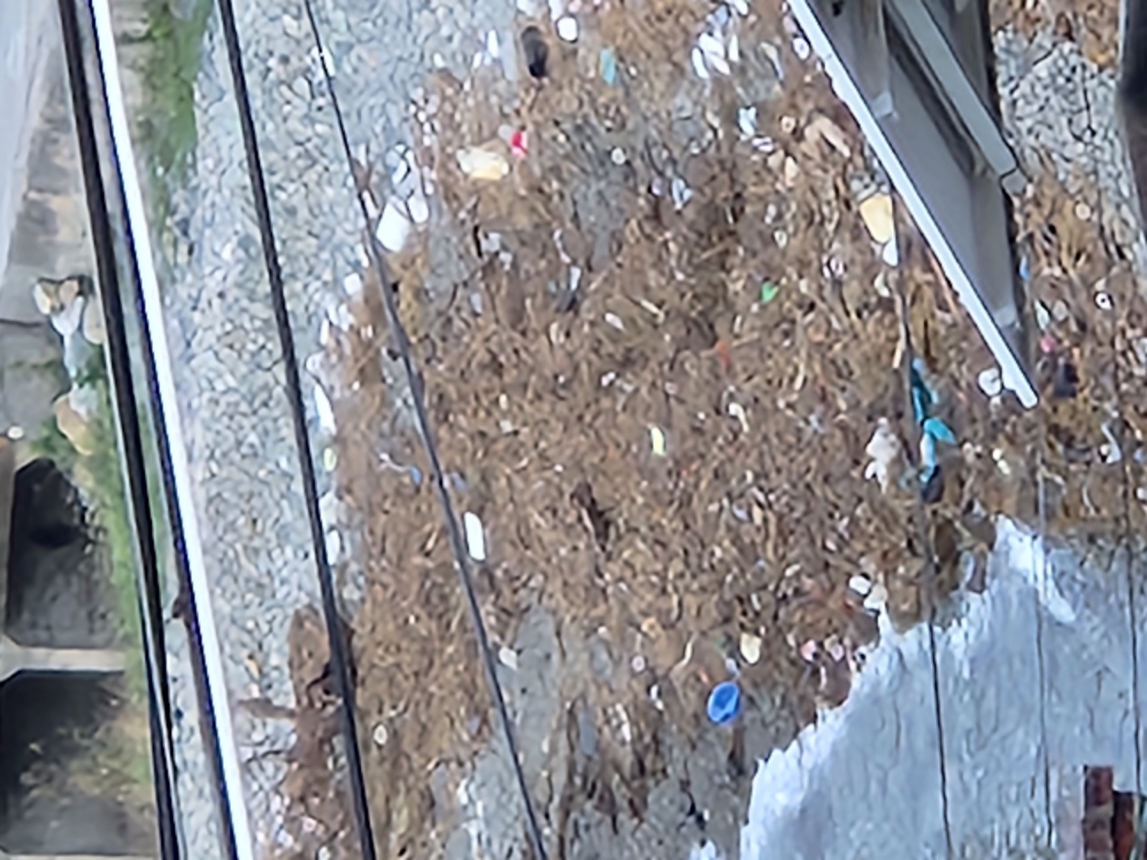 대계 해수욕장 이미지