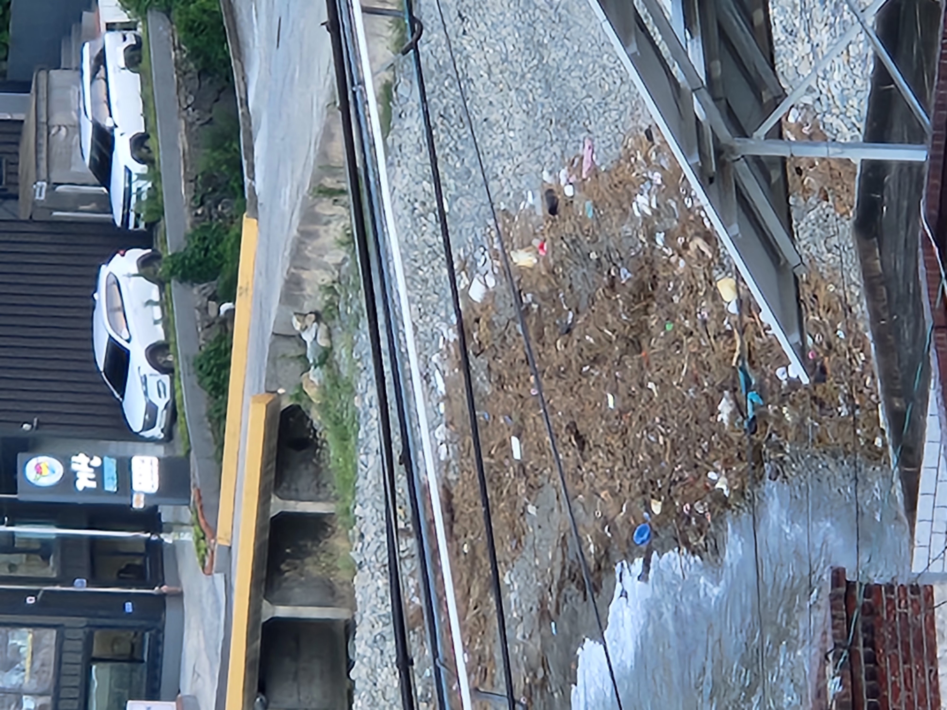 대계 해수욕장 이미지