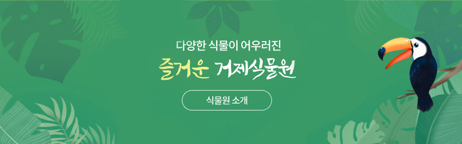 다양한 식물이 어우러진 즐거운 거제식물원. 식물원 소개