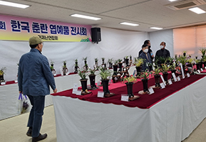 수석작품을 관람하는 사람들