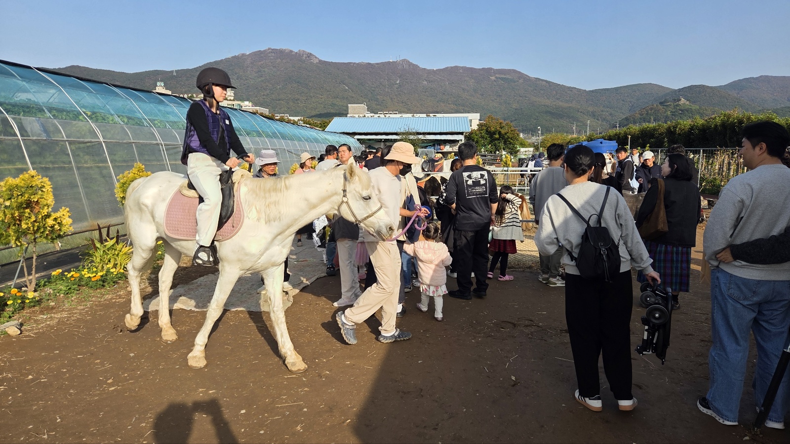 제19회 거제섬꽃축제