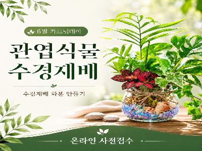 (6월 가드닝데이) 관엽식물 수경재배
