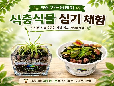 (5월 가드닝데이) 식충식물 심기