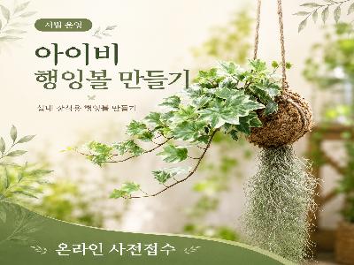 (시범운영) 아이비 행잉볼 만들기