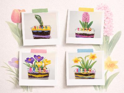 식물문화센터 3월 가드닝데이 - 봄을 담다, 봄을 심다.