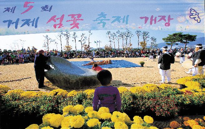 국화꽃 축제1 이미지