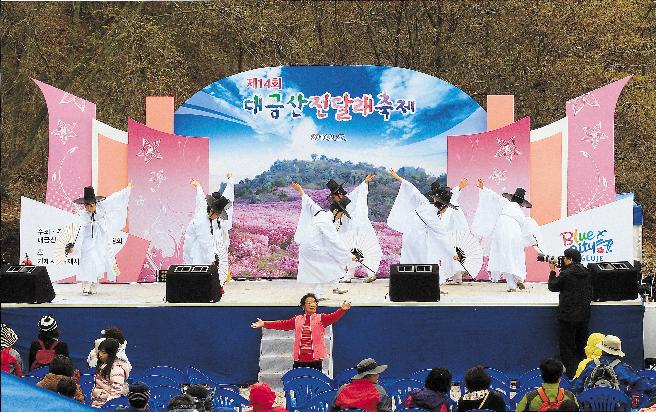대금산진달래축제 이미지