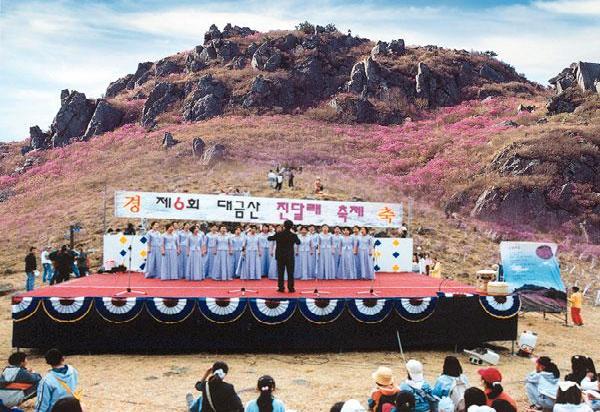대금산진달래축제 이미지