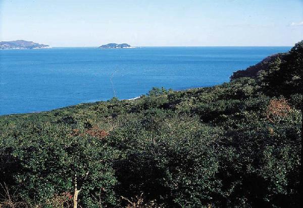 학동 동백림