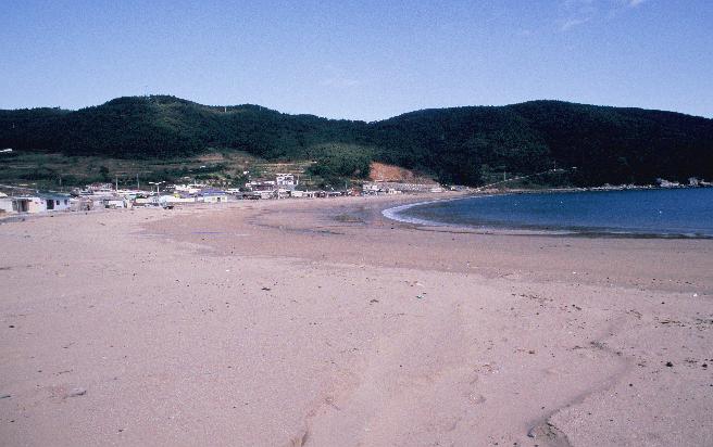 와현 모래숲 해변 이미지