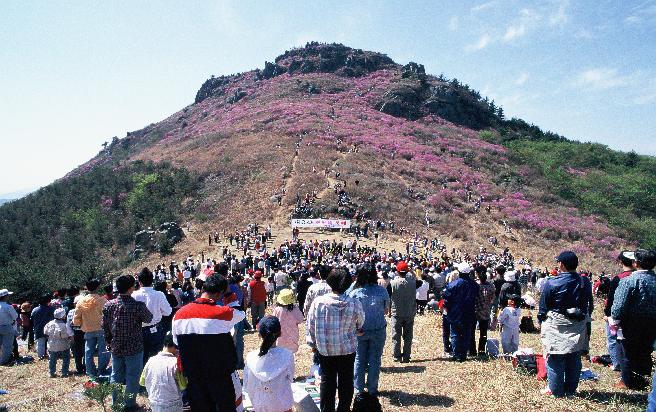 대금산 진달래 축제 이미지