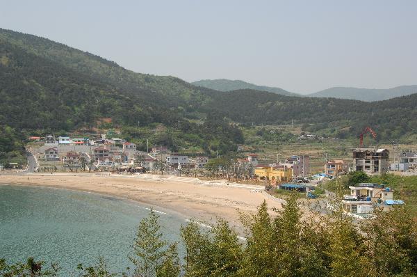 와현 모래숲 해변 이미지