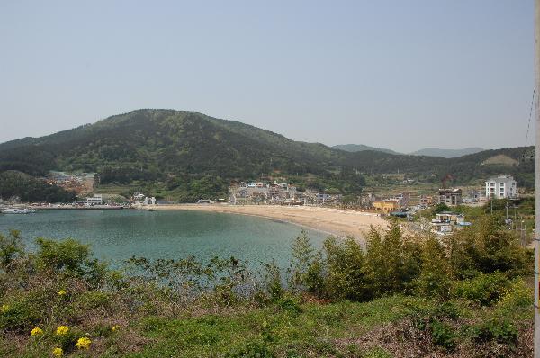 와현 모래숲 해변 이미지