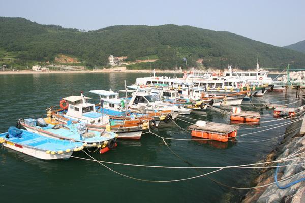 와현 모래숲 해변 이미지