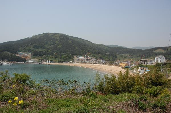 와현 모래숲 해변 이미지