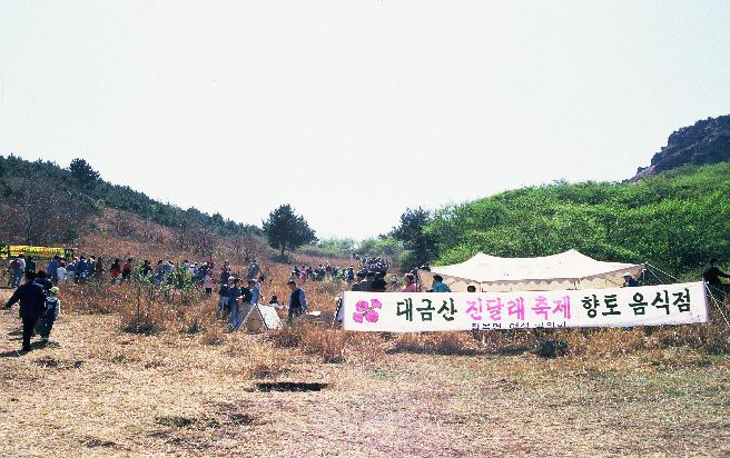 대금산 진달래 축제 이미지