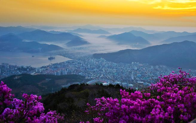 계룡산운해1 이미지