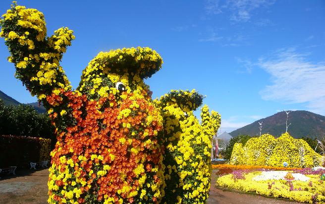2011 거제섬꽃축제-사진전 입상 이미지