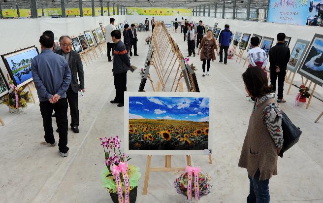 2011 거제섬꽃축제-사진전 입상 이미지