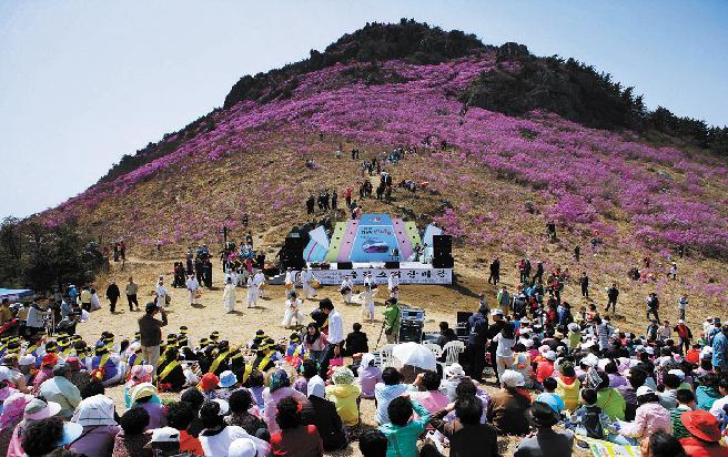 대금산 진달래축제 이미지