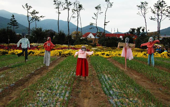 2011 거제섬꽃축제-사진전 입상 이미지