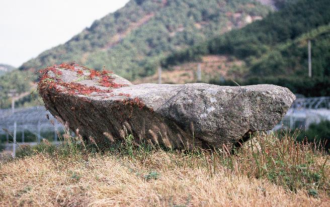 청곡리 지석묘