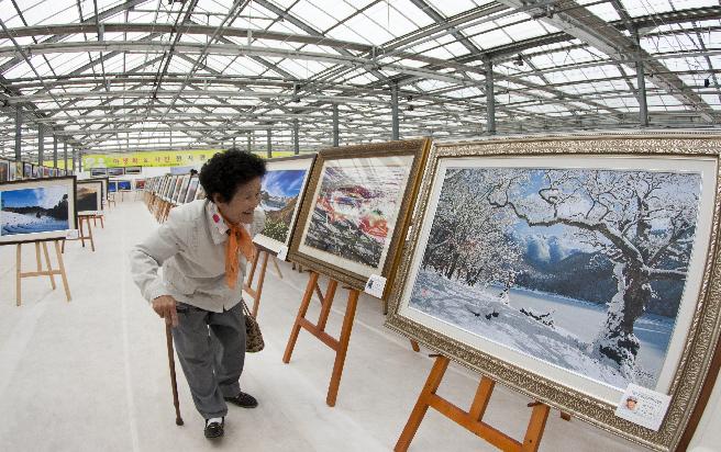 2011 거제섬꽃축제-사진전 은상 이미지