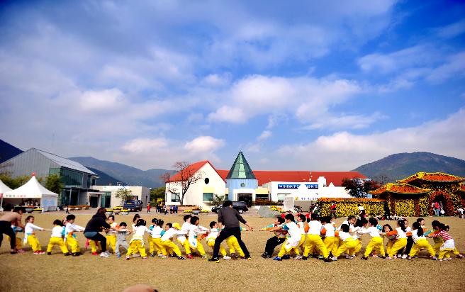 2011 거제섬꽃축제-사진전 입상 이미지