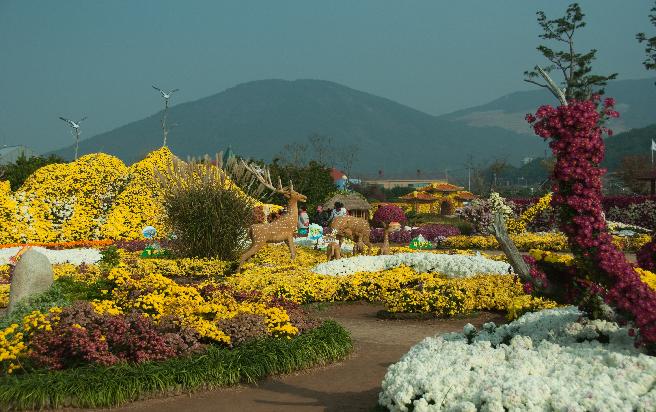 2011 거제섬꽃축제-사진전 입상 이미지