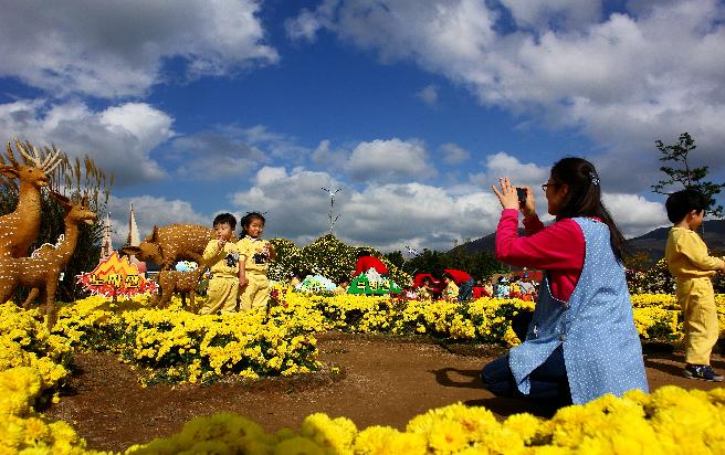 2011 거제섬꽃축제-사진전 입상 이미지