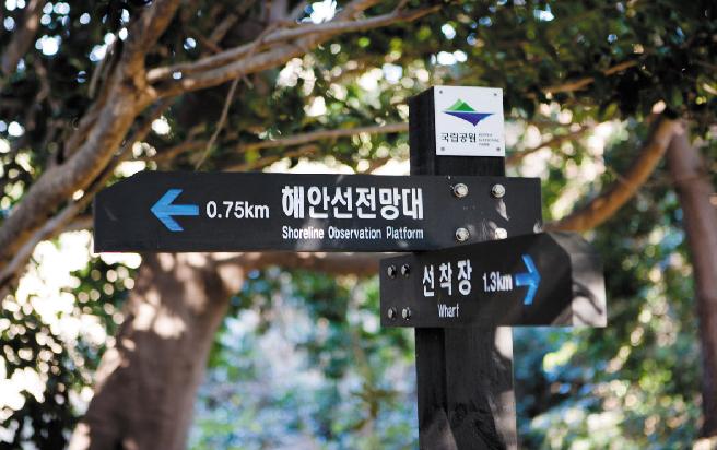 지심도 이미지