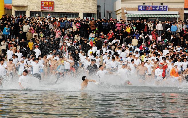 펭귄 축제 이미지