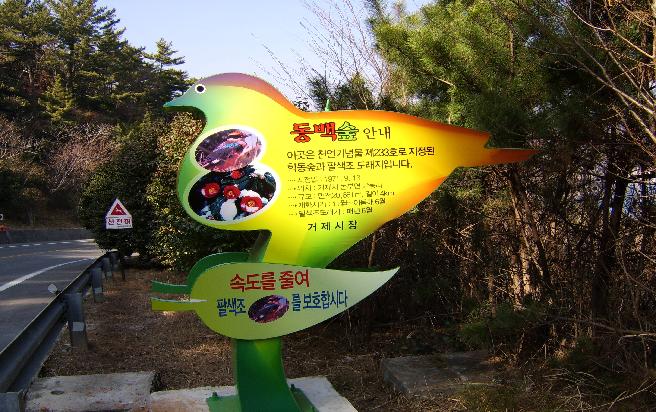 학동동백숲 이미지