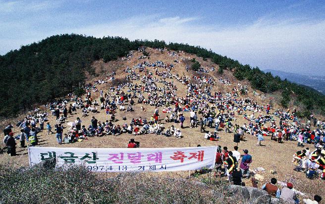 대금산 진달래 축제 이미지