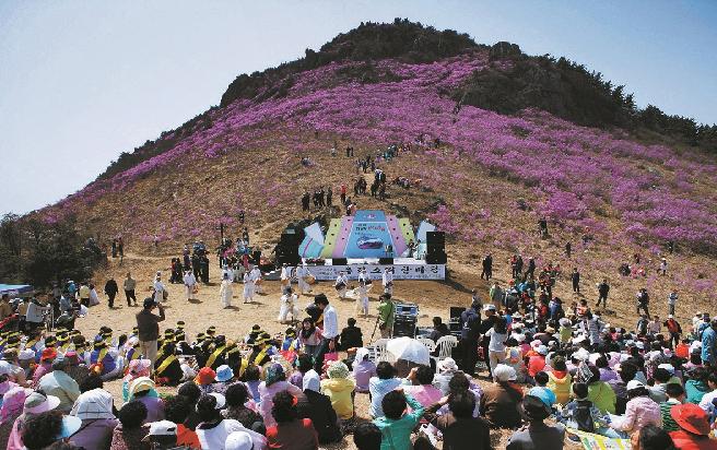 대금산 진달래축제 이미지