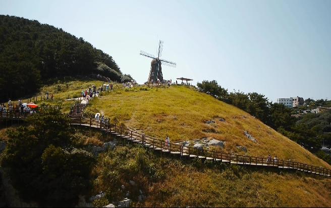 바람의 언덕 이미지