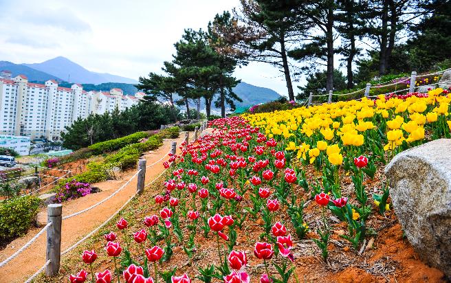 능포 양지암 공원 (1)