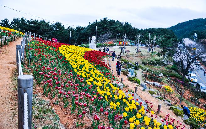 능포 양지암 공원 (2)
