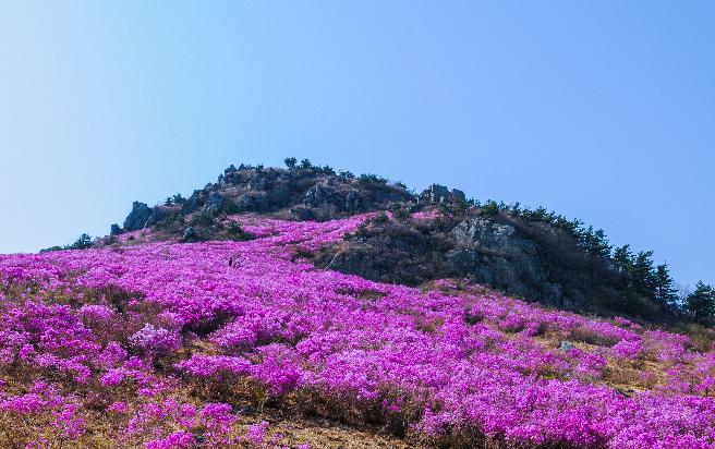 대금산 (1) 이미지