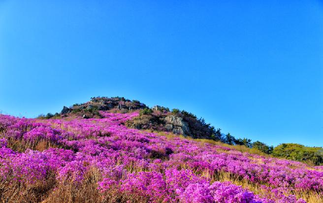대금산 (5) 이미지