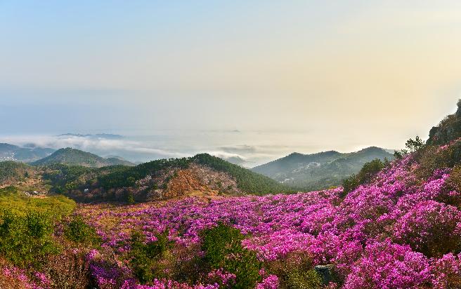 대금산 (8) 이미지