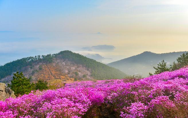 대금산 (9) 이미지